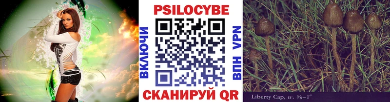 дарк нет Telegram  Дивногорск  Галлюциногенные грибы прущие грибы 